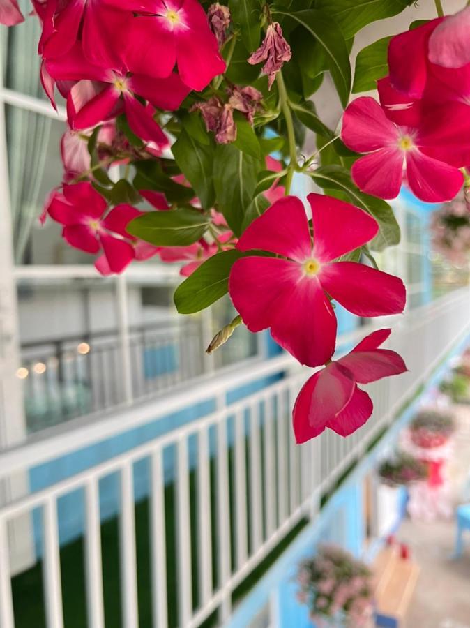 Tina Homestay 岘港 外观 照片